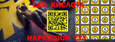 сатива Сланцы