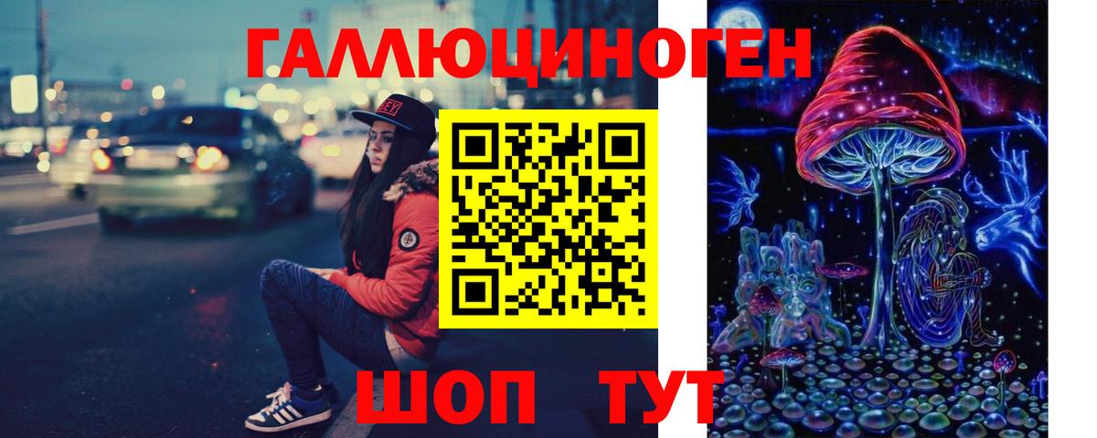 Славгород  Псилоцибиновые грибы мицелий  Вход с VPN  Галлюциногенные грибы мицелий 