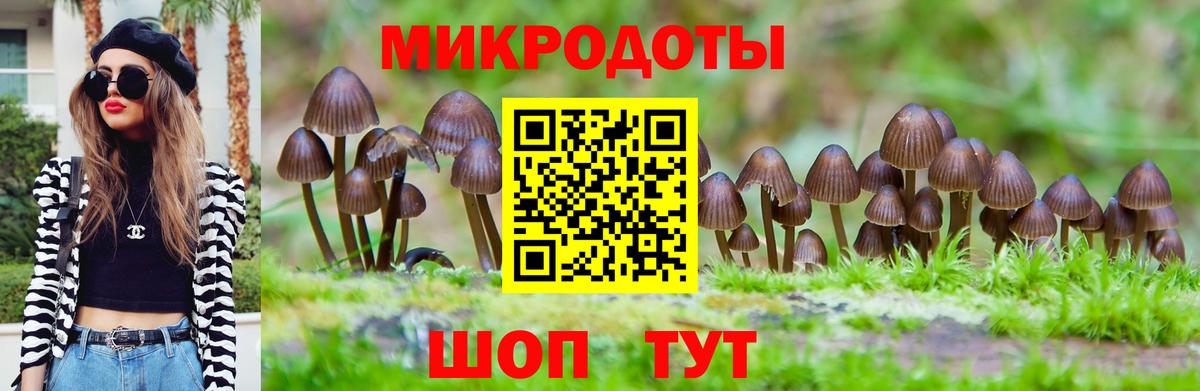 Галлюциногенные грибы мицелий Славгород